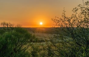 Baskiens bästa med SvD accent thumbnail