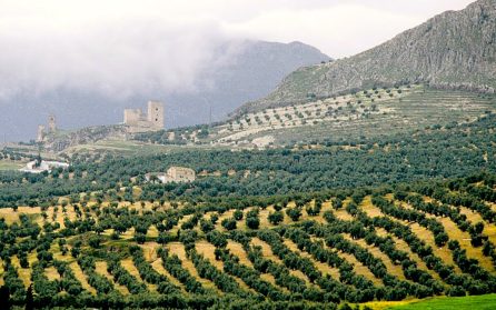 Imponerande Jaén image