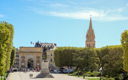 Kustens Montpellier - Chauvet II - Avignon image