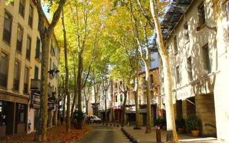 Festivaltider i Céret – körsbärens förlovade stad image