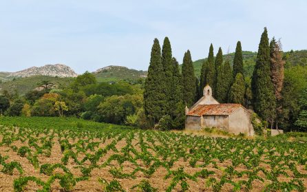 Glimmande mästerverket Carcassonne och ett glas vin image