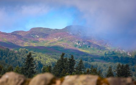 Historiska Crannogs - Blair Castle image