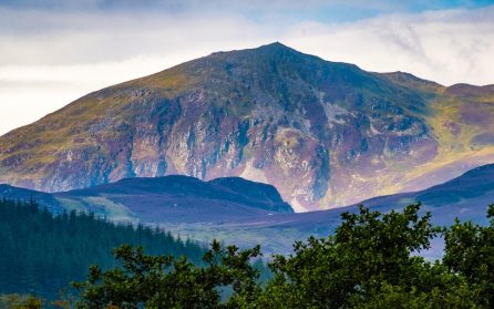 Slottsprakt och Ödesstenen image