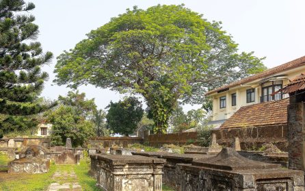 Upptäcktsfärd i Kochi image