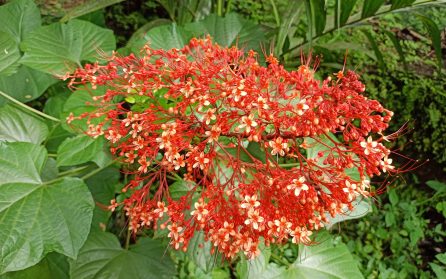 Mot Södra Indiens vattenparadis image