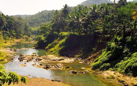 Bekvämt tåg till tempelpraktens Trivandrum – stranden vid Kovalam image