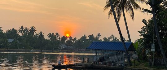 Indiska kontraster –  Kerala och Rajasthan hero image