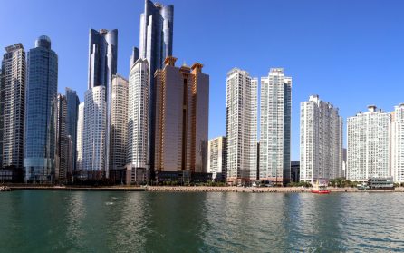 Från linbana till fiskmarknad  image