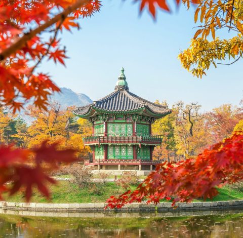 Färdledare hero background image