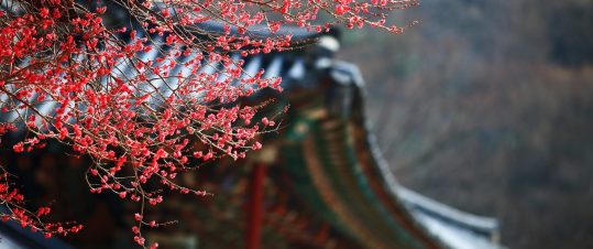 Sydkoreas smultronställen hero image