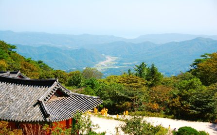 Bildsköna Gyeongju image