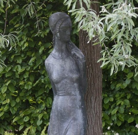 Färdledare hero background image