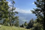 gallery image 21