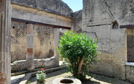 Herculaneum - hemresa image