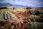 gallery image 55
