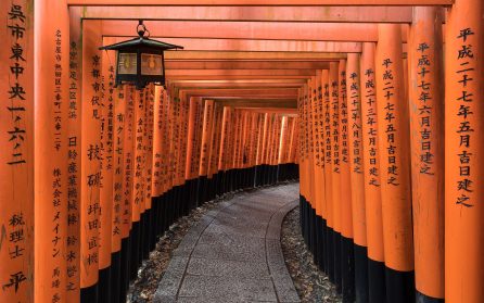Kyotos kulturskatter image
