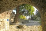 gallery image 31