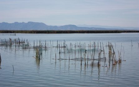 En liten fiskeby mellan hav och insjö – Calatravas stad image