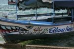 gallery image 25