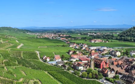 Över kontinenten till Hamburg image