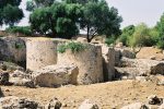 gallery image 21