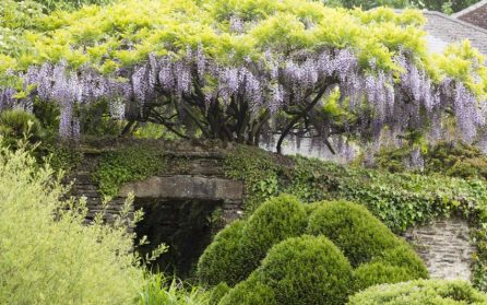 The Garden House - Stourhead Park image