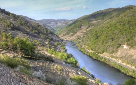 Ribeirodistriktets viner och thermalbad i japansk stil image