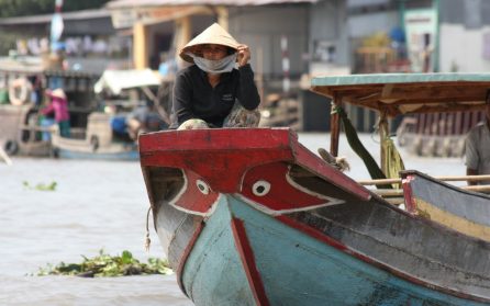 Flyg till Saigon och upptäcktsfärd i Mekongdeltat image
