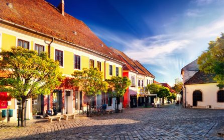 Budapest skatter – historiska Arad image