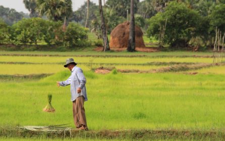 Lång dags färd mot Phnom Penh image