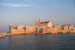 gallery image 23