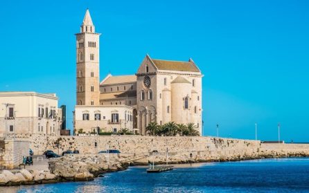 Renässansstaden Trani vid havet och världsarvet Castel del Monte image