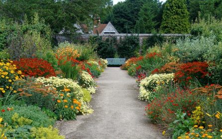 Torsdag 21 augusti – West Dean Gardens & Sussex Prairie Wild - hemresa image