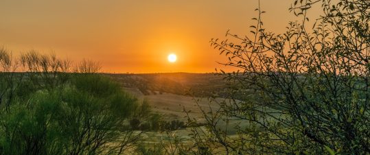 Kontrasternas Andalusien hero image