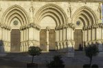 gallery image 23