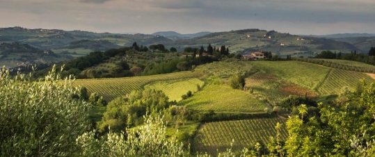 Medeltid och renässans i Umbrien och Toscana hero image