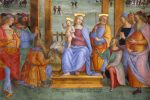 gallery image 25