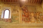 gallery image 28
