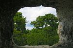 gallery image 23